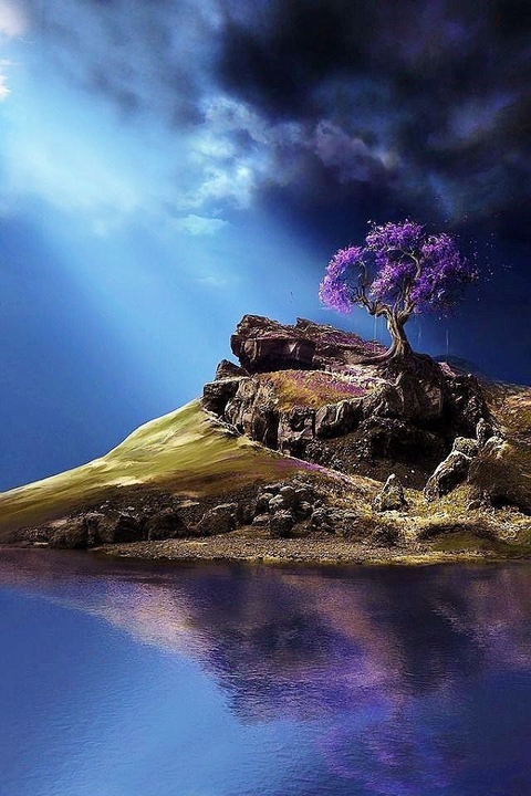 tree