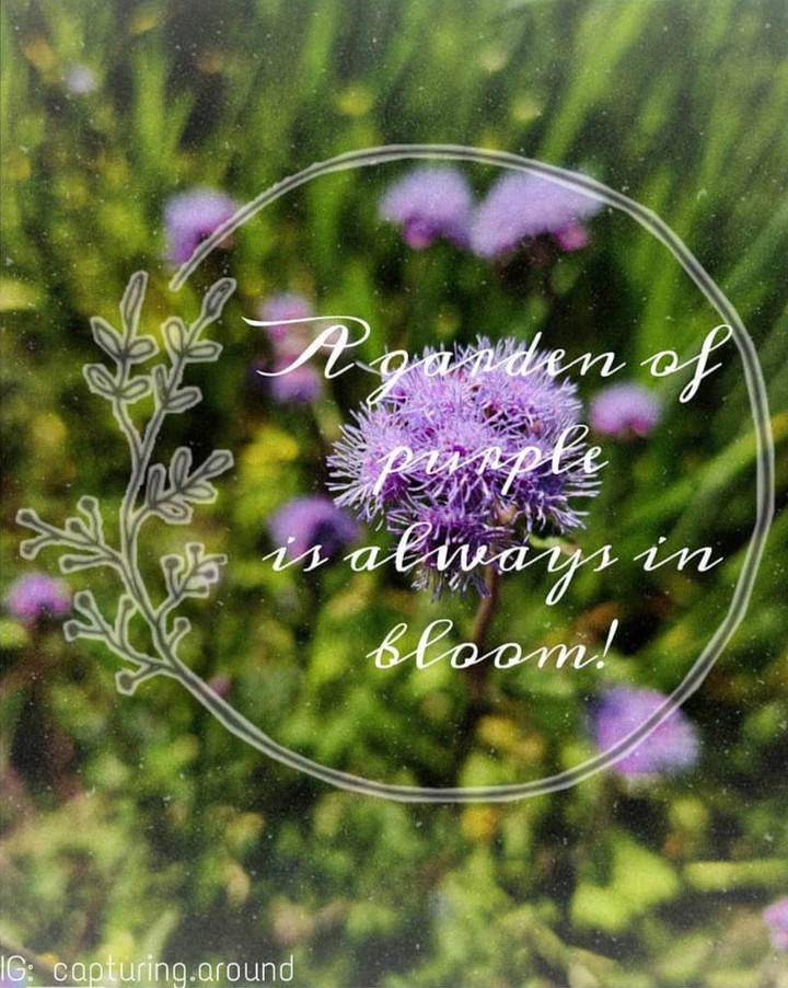 Quote