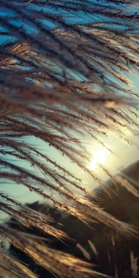 wave, horizon wallpapers