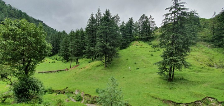 nature
