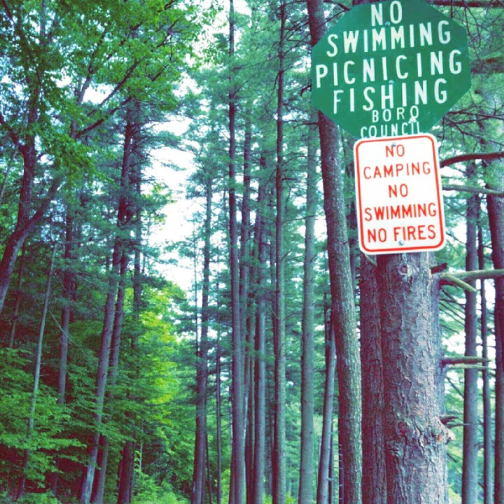 no anything