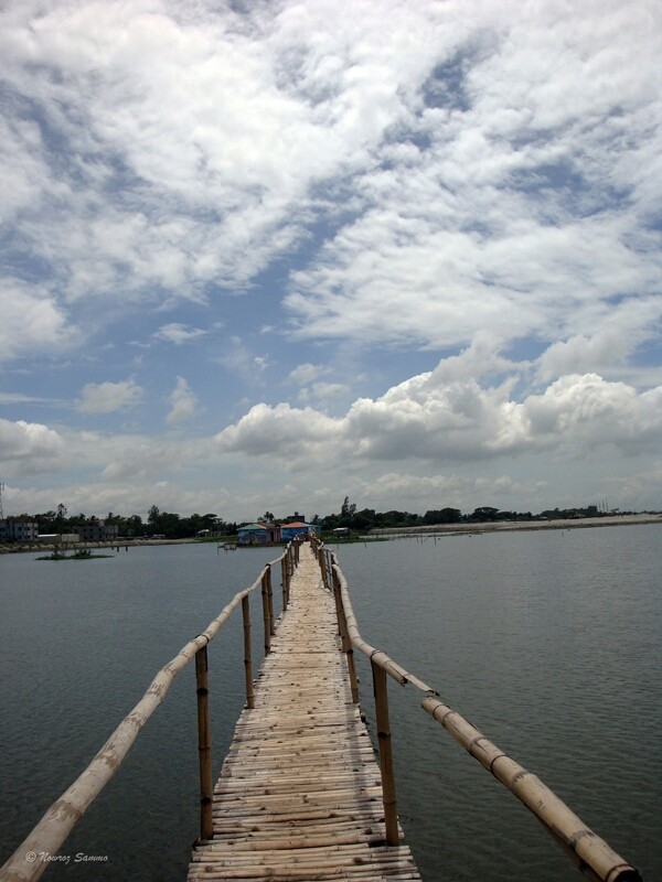 Bamboo bridge