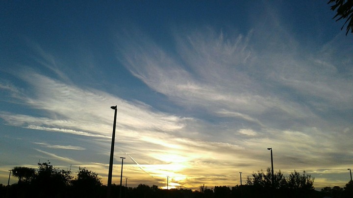 Angel Wings.