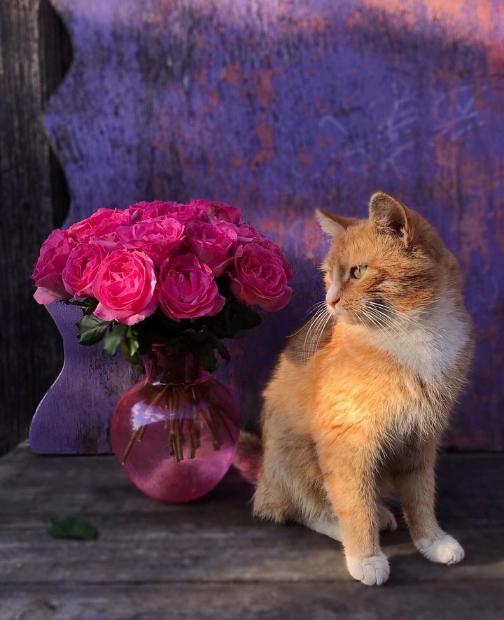 #cute