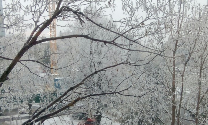 Beograd