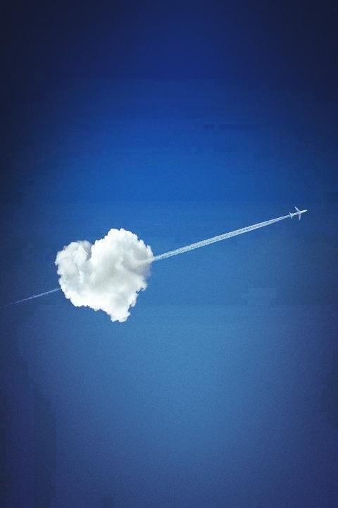 heart cumulus