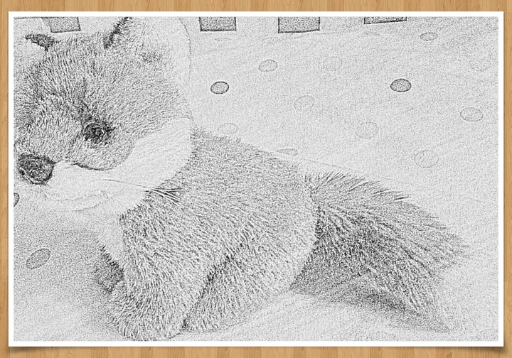 Red fox
