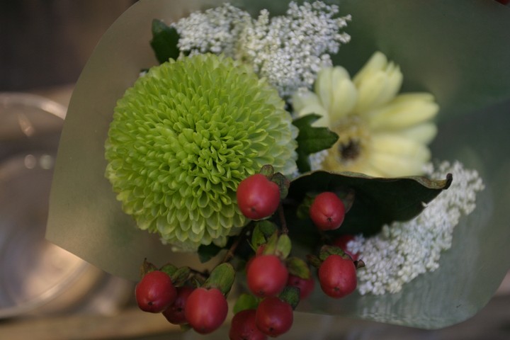 Plant