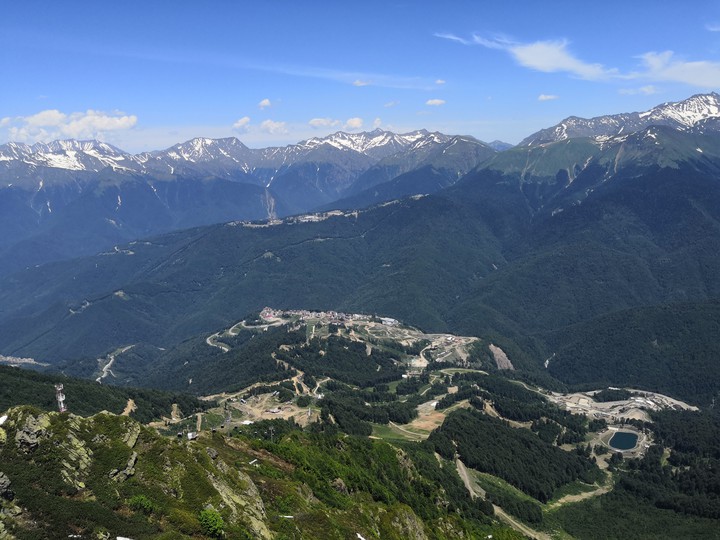 the view