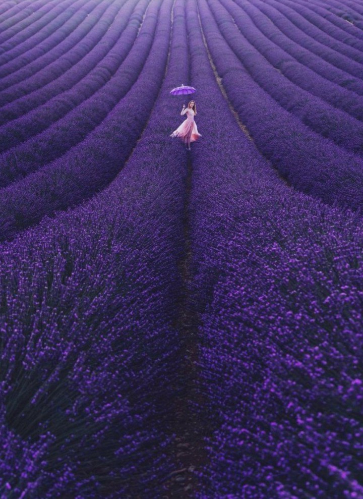 Цветы, flowers, nature, природа
