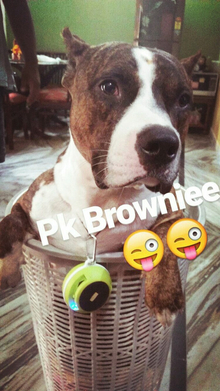 Pk