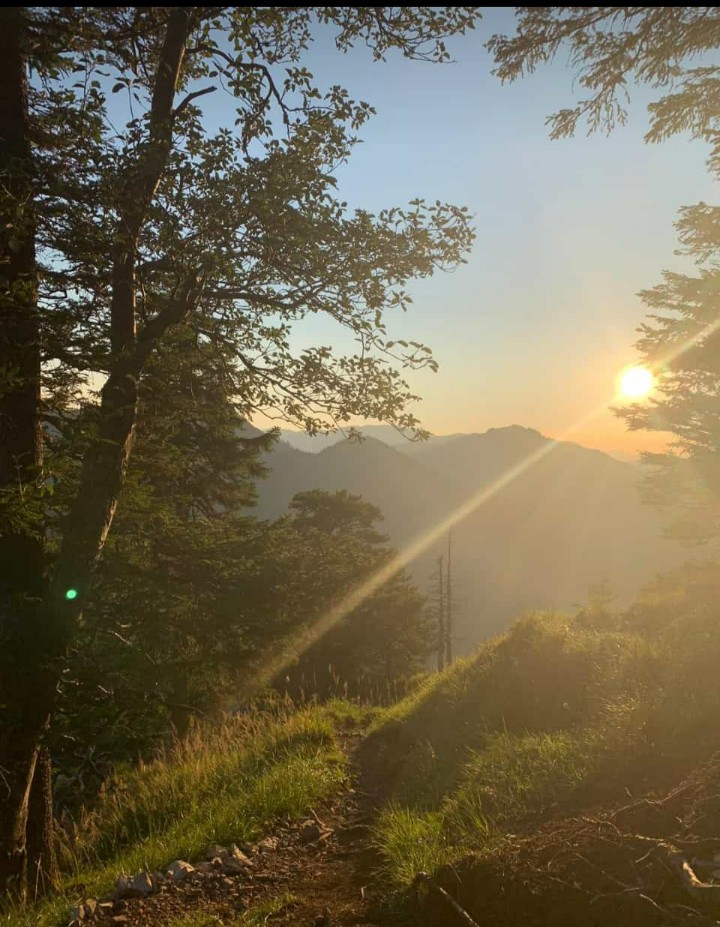 good morning
