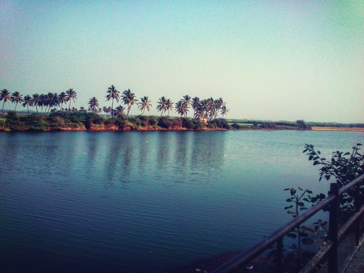 the view