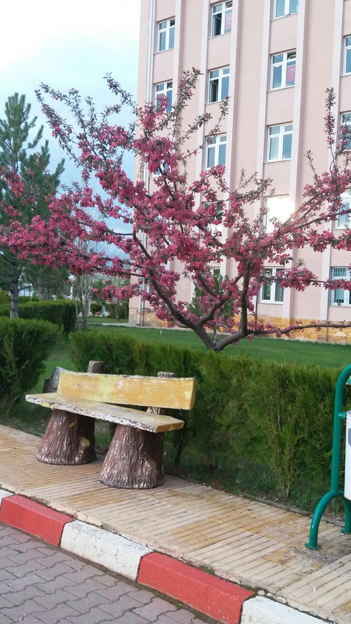 Spring