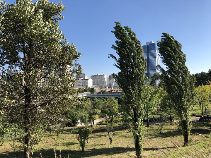 building forest