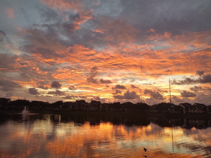 Morning Sunrise