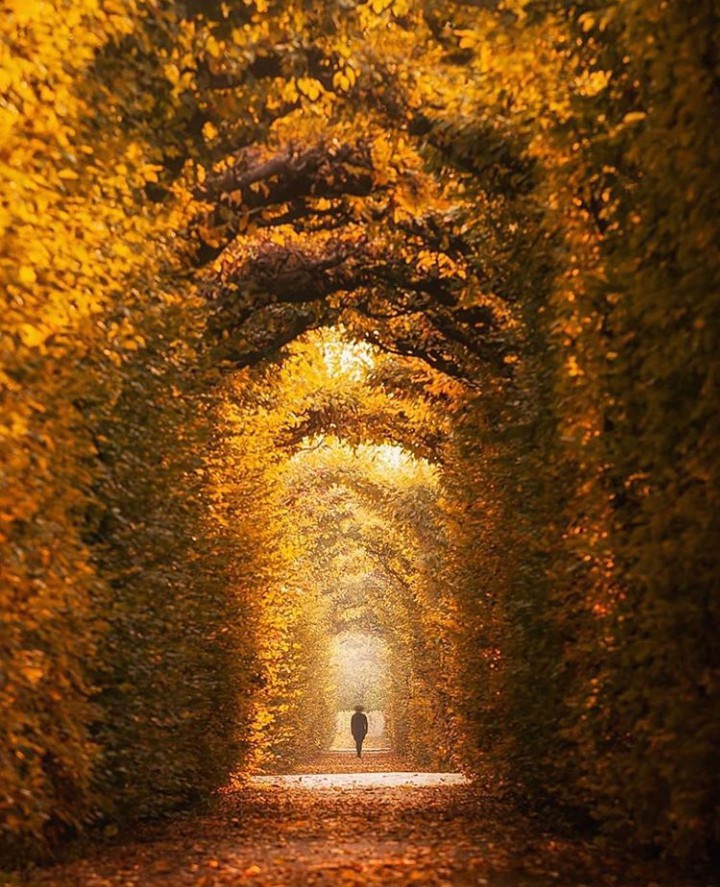 Autumn walking