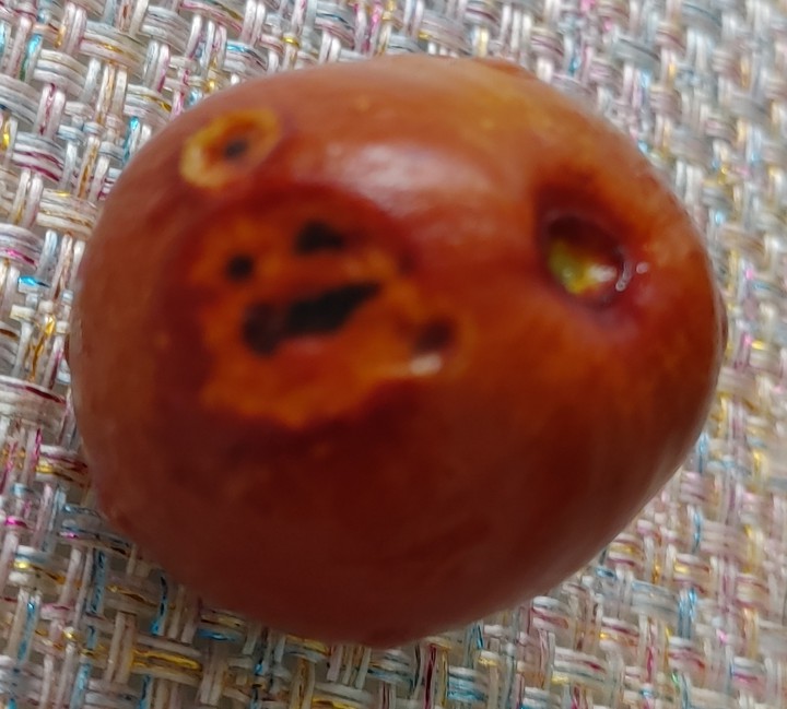 .