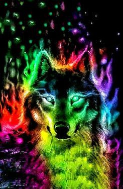 rainbow wolf