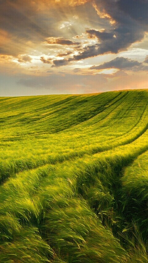 Spring
