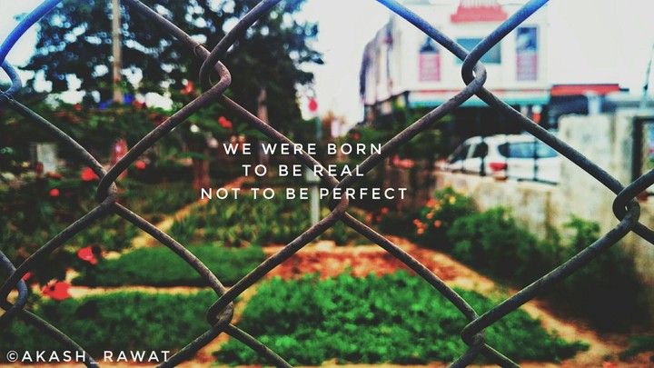 life quote