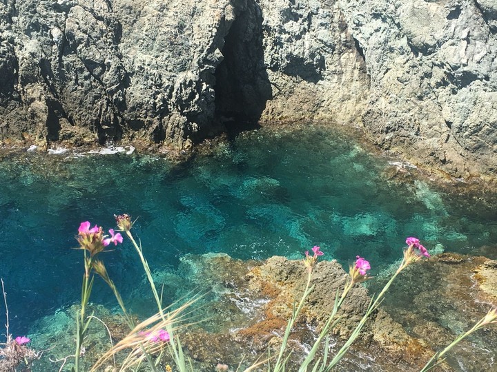 mare