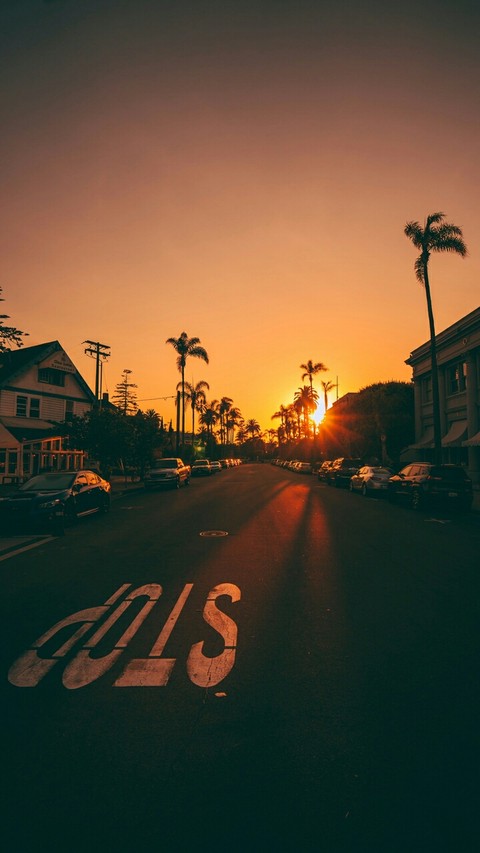Sunset