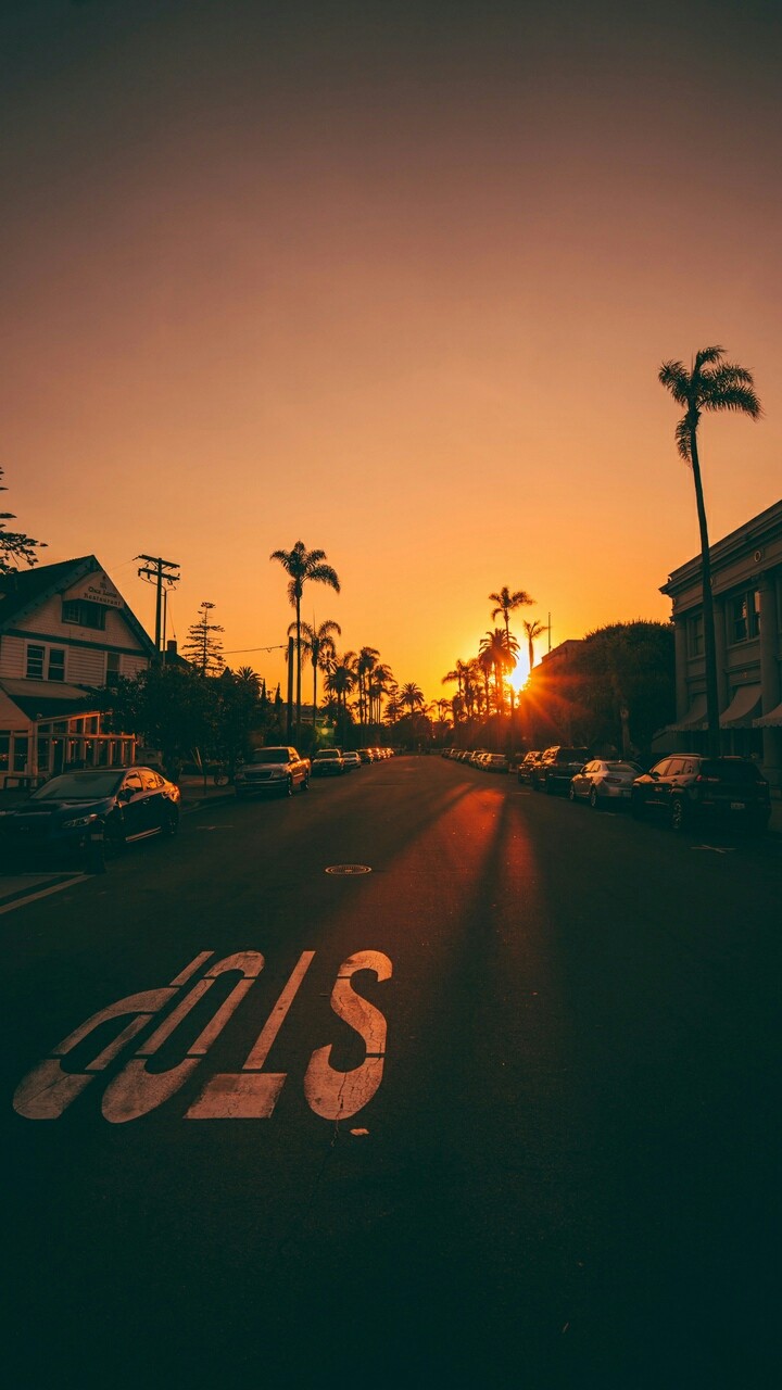 Sunset