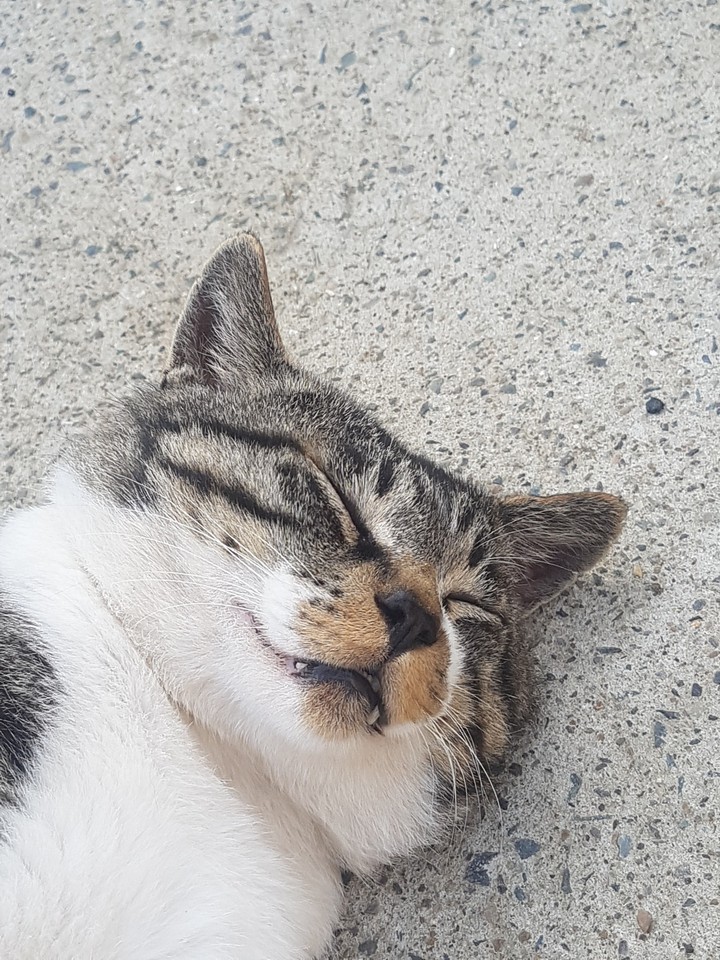 ??