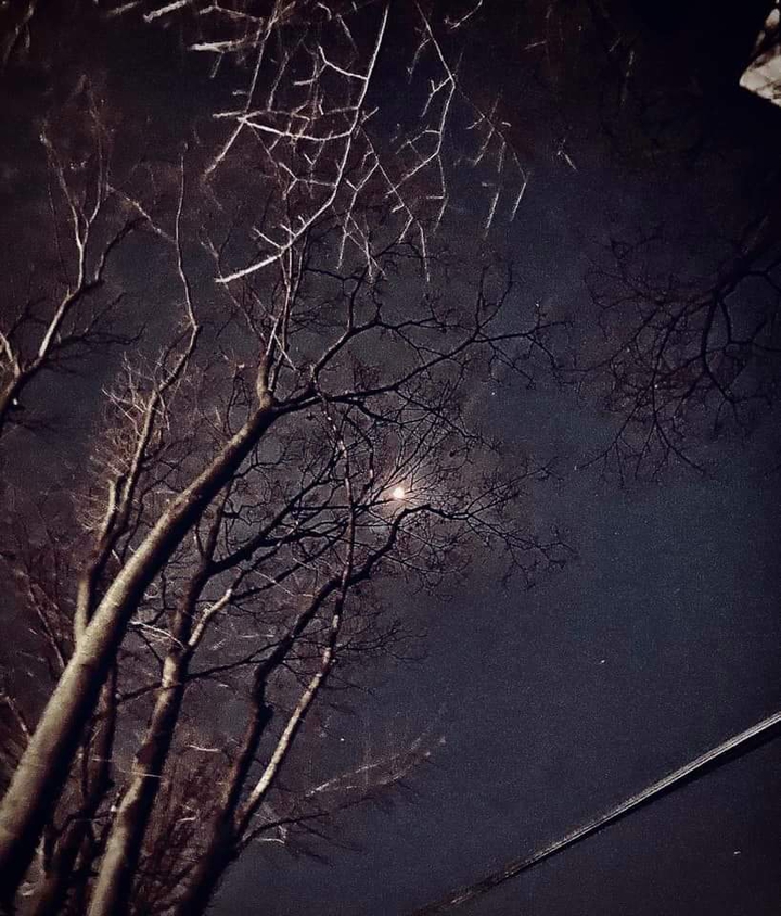 night