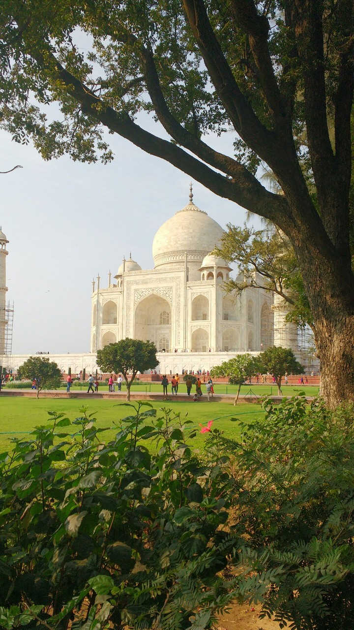 Tajmahal