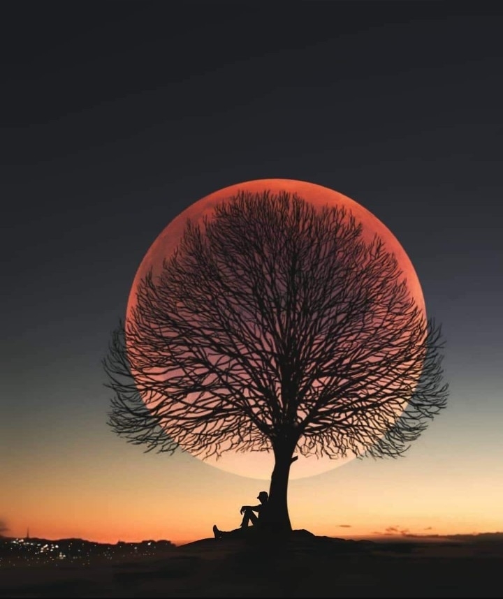 aaa