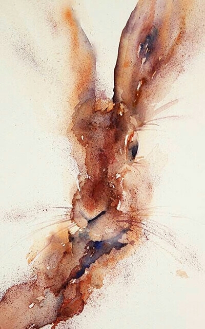 brown Rabbit