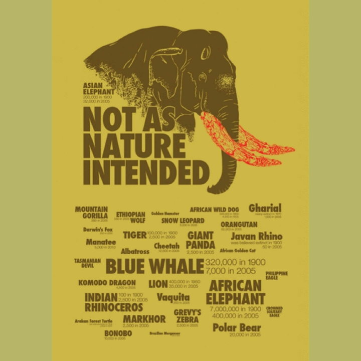 Nature Rescue Posters