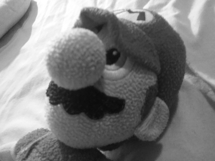 Plüsch Mario