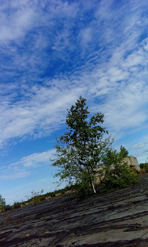 blue sky