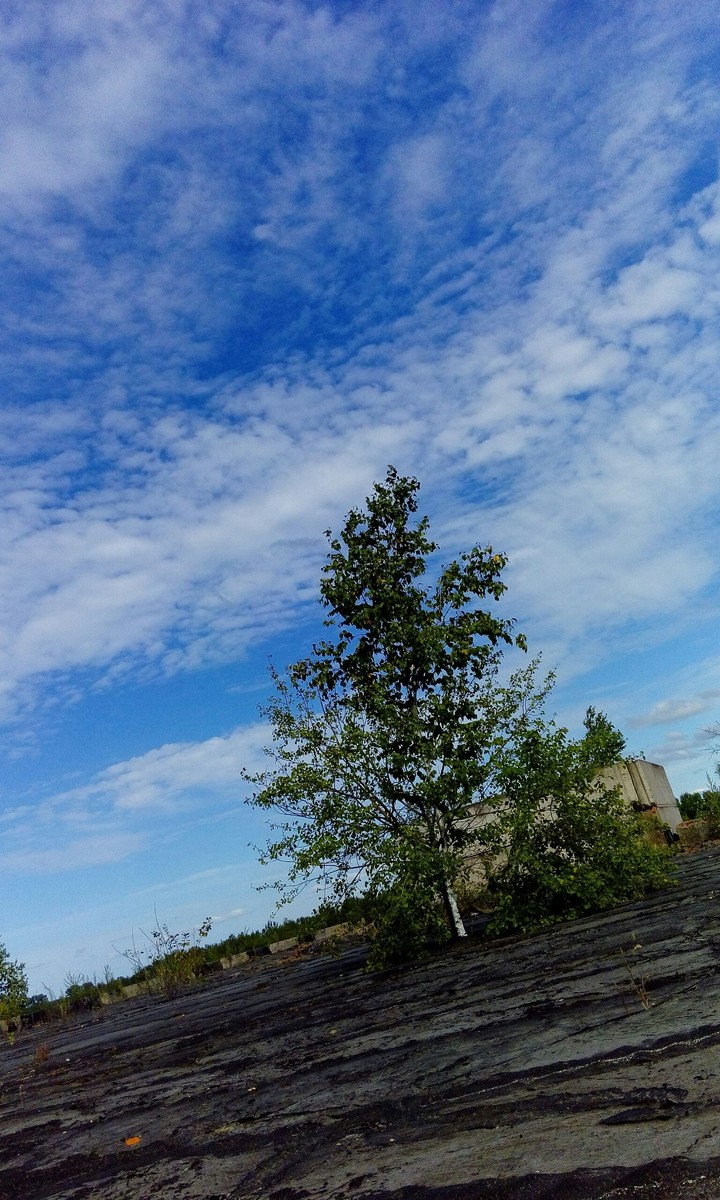blue sky
