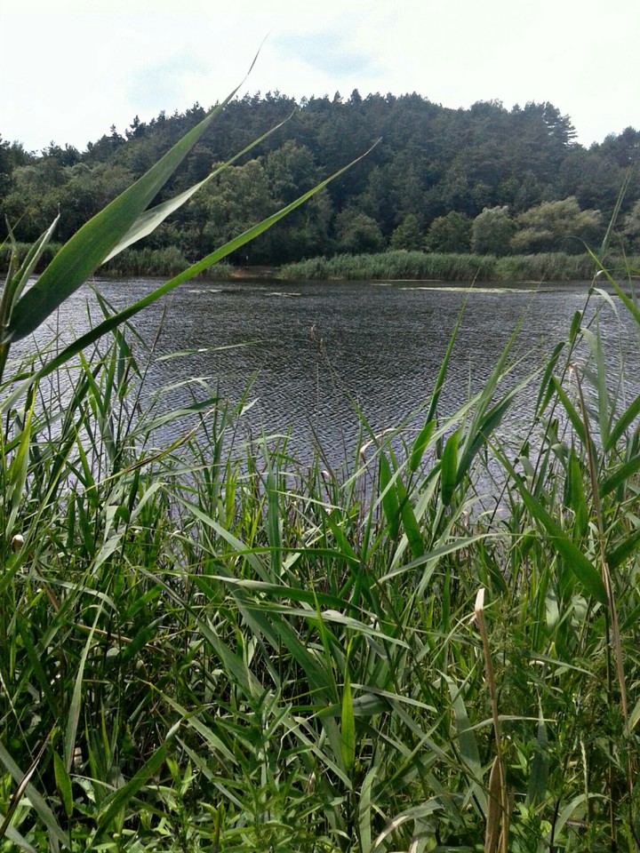 lake
