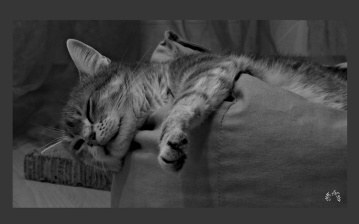 Louna