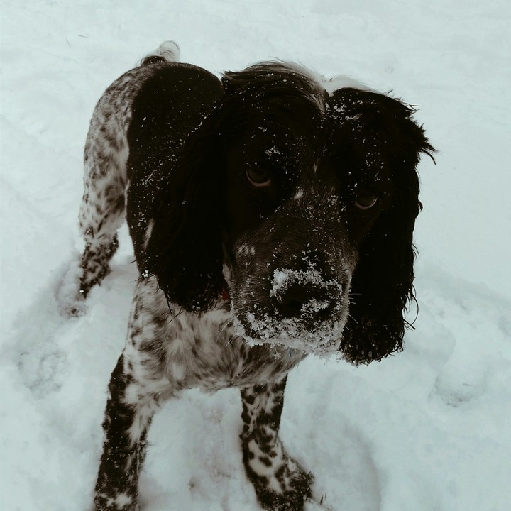 Winter