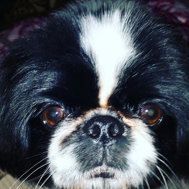 Only eyes for you ?