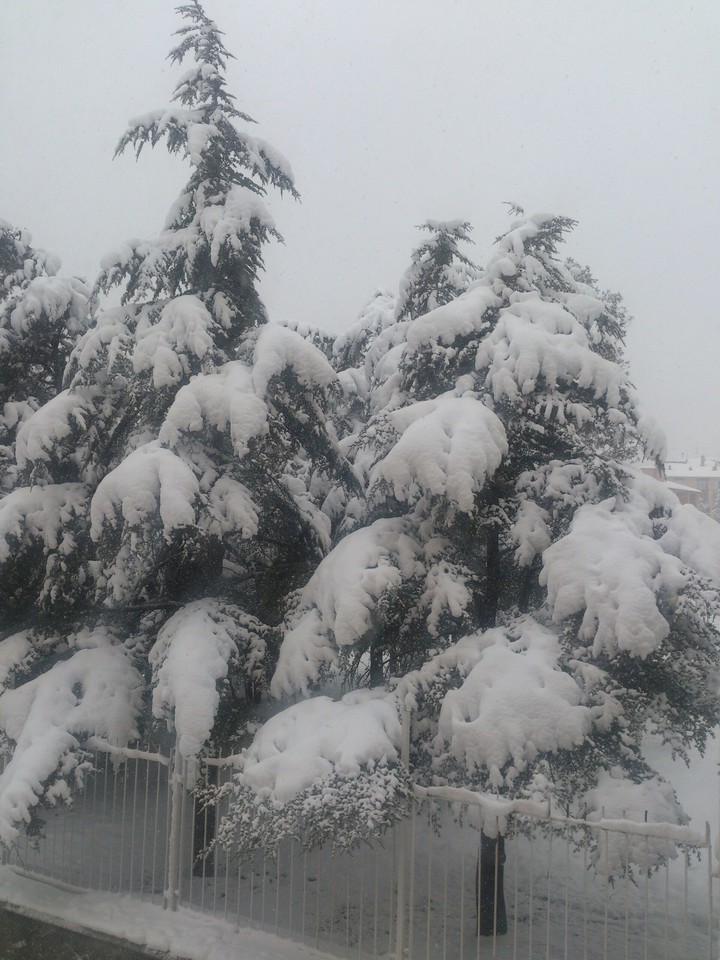 sight of out from my room