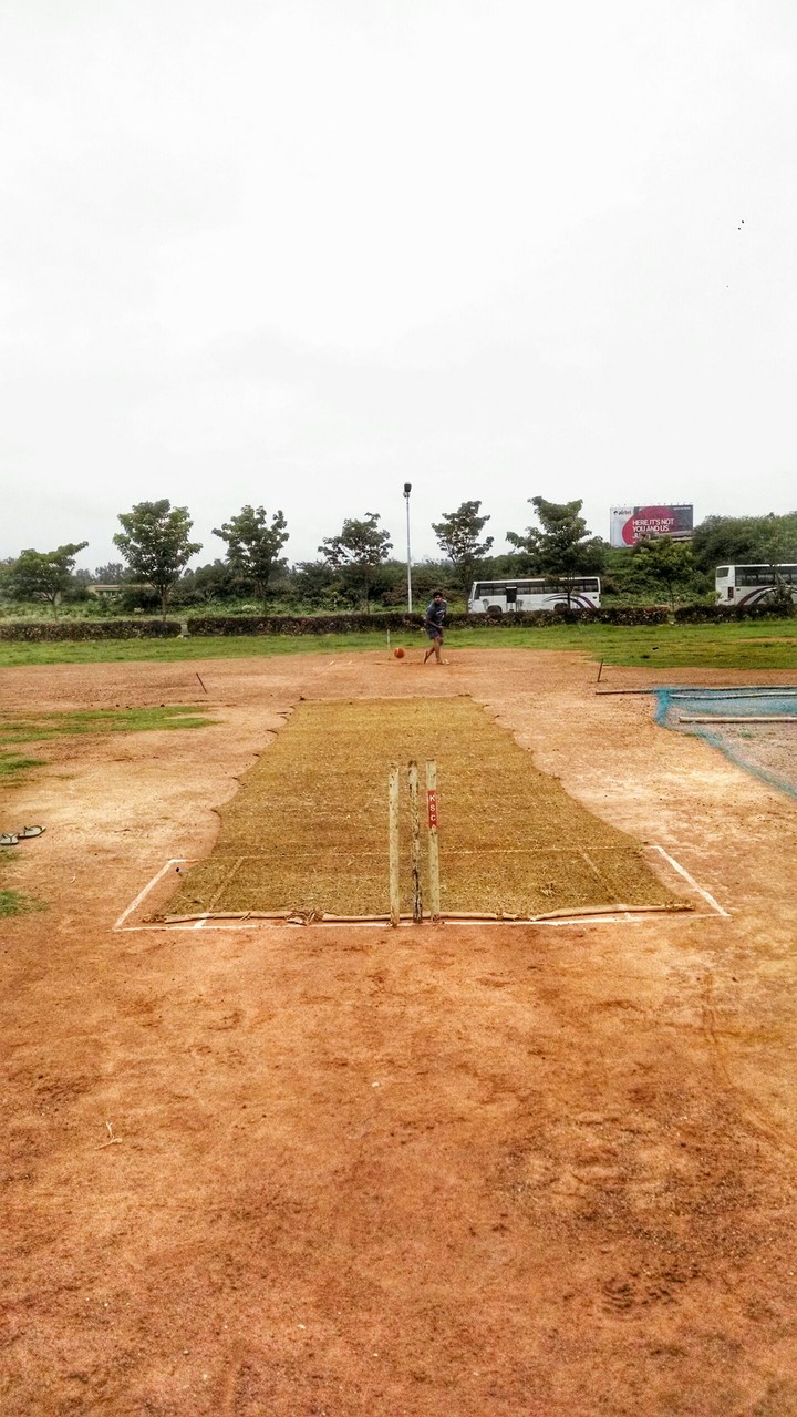 Crazy Cricket