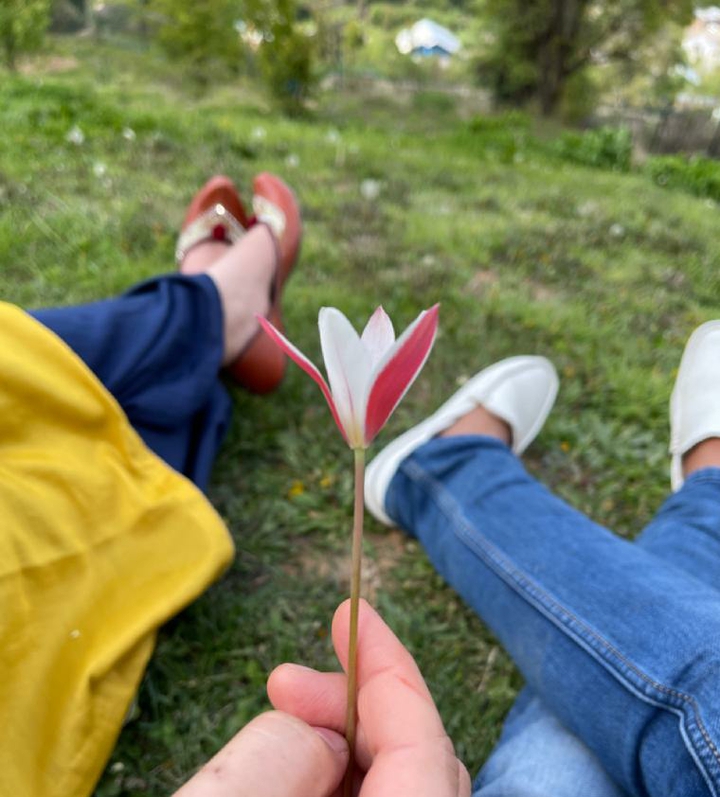 spring