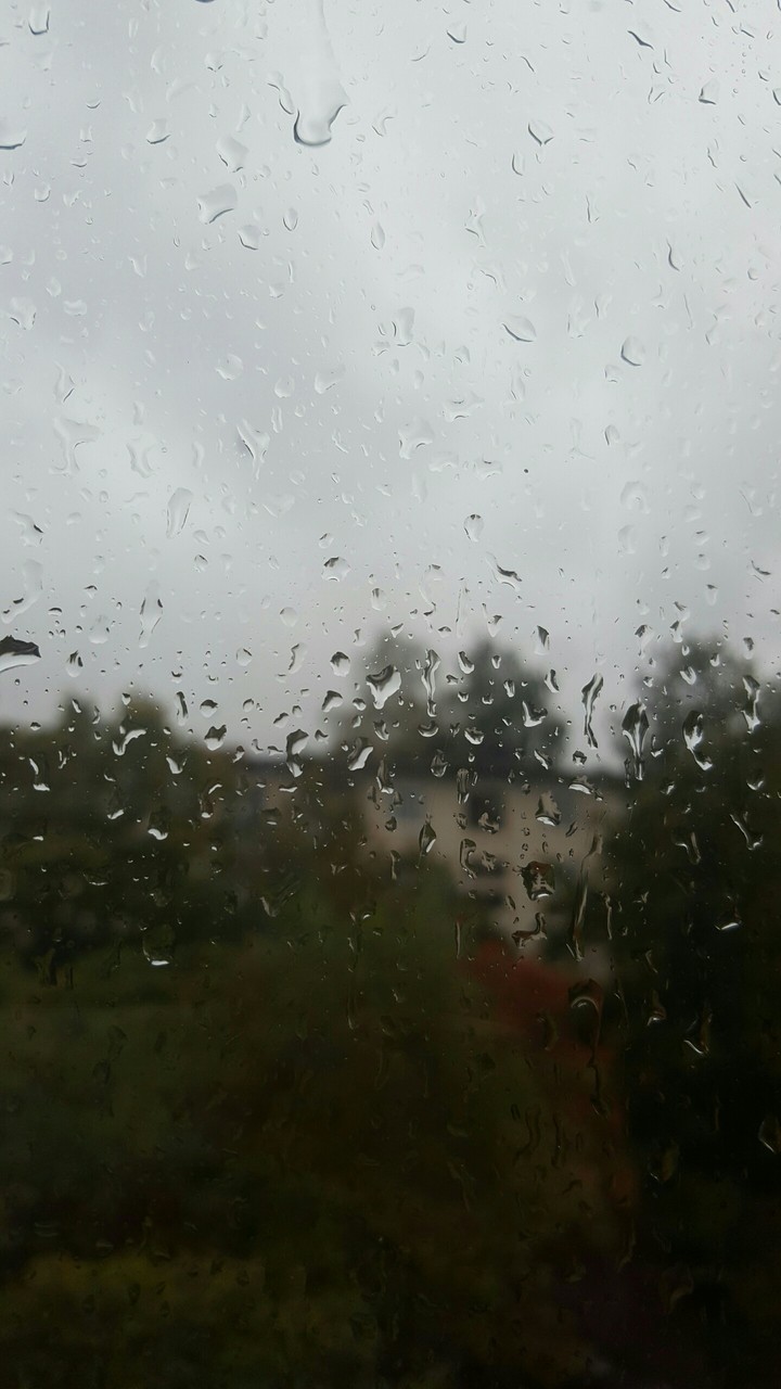 Rainy day...