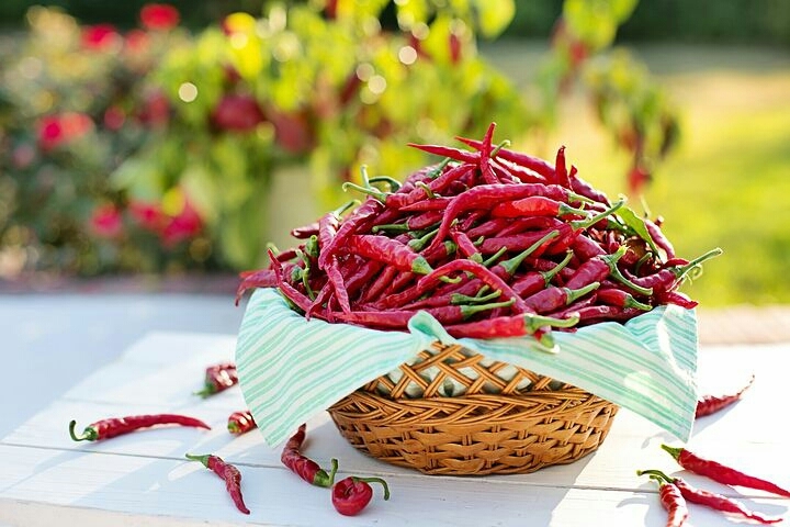 red chillies