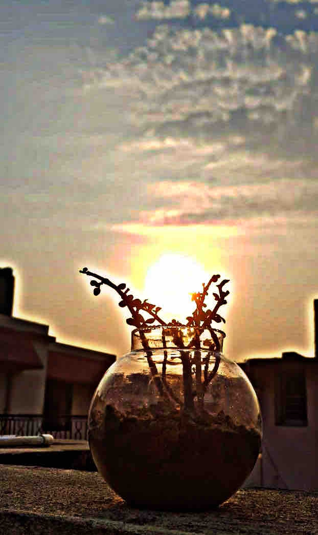 Clicked by myself Aamina Ashraf