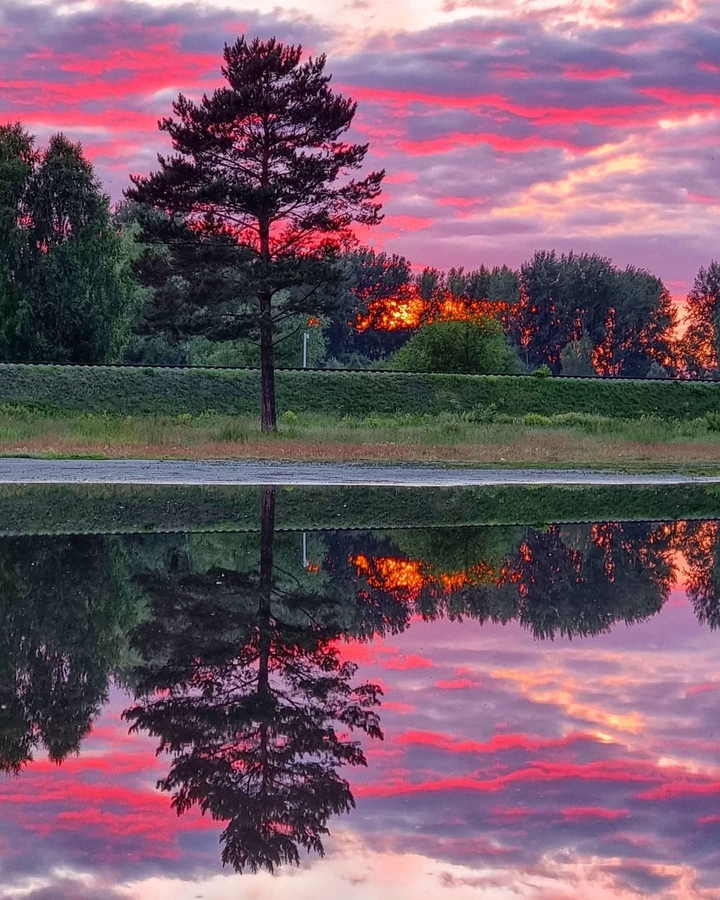 Summer evening