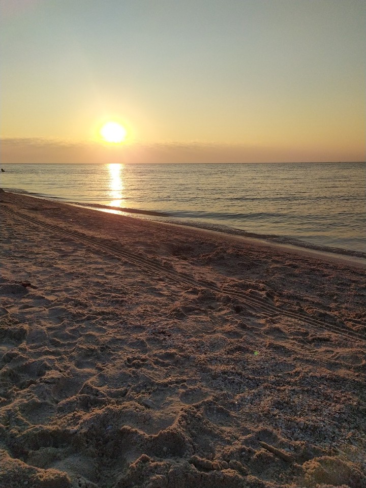 Sea
