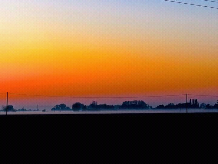 fog